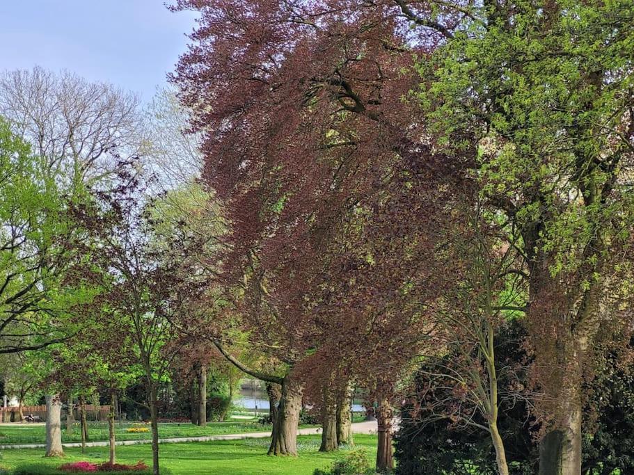 וורנדורף Mit Blick In Den Emsseepark מראה חיצוני תמונה